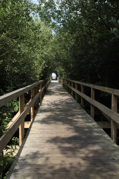 Hermosa Vista Naturaleza — Foto de Stock