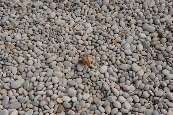 Aflicción Piedras Mediterráneo — Foto de Stock