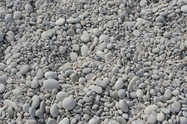 Marksten Stranden Grå Klippor — Stockfoto