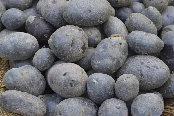 Verduras Concepto Alimentos Patatas —  Fotos de Stock