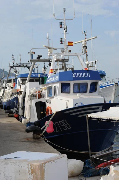 Spagna Tagliatori Pesce Porto — Foto Stock