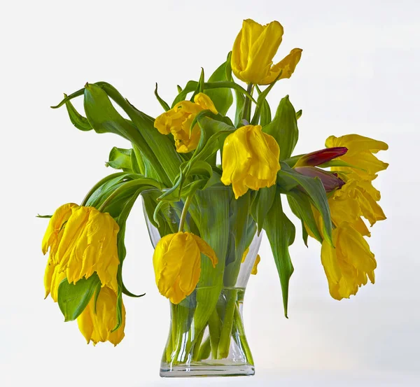 Bouquet Soldador Tulipanes Amarillos Jarrón Cristal —  Fotos de Stock