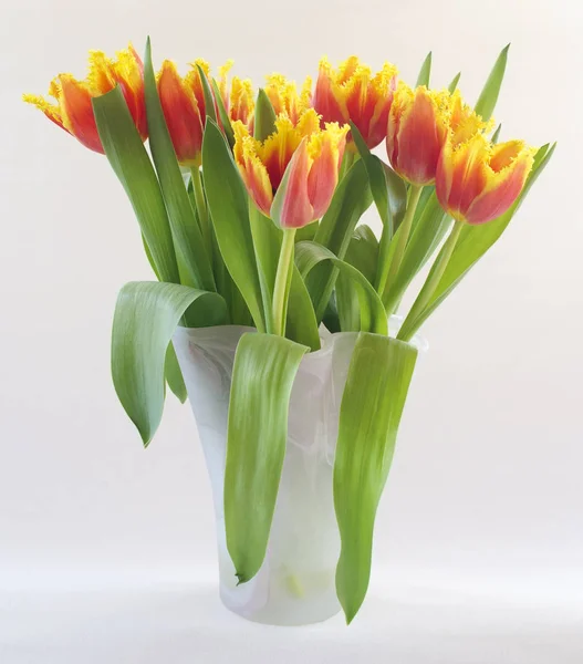 Tulipanes Loro Amarillo Anaranjado Florero Vidrio —  Fotos de Stock