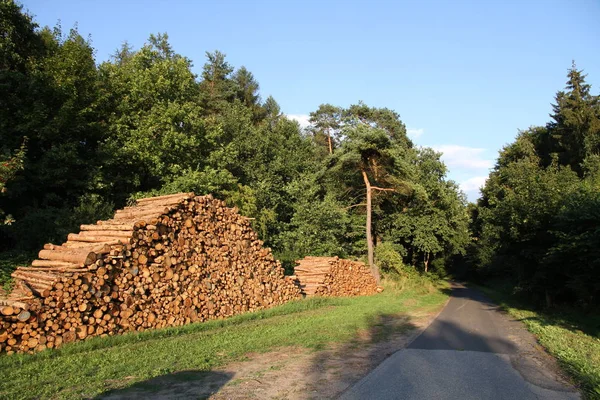 Dřevěná Textura Dřevěné Hromady — Stock fotografie
