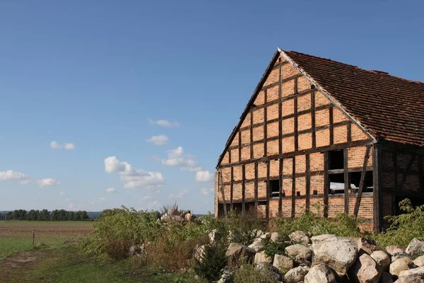 Festői Kilátás Mezőgazdaságra Szelektív Fókusz — Stock Fotó