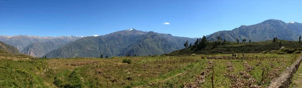 Canhão Colca Peru — Fotografia de Stock
