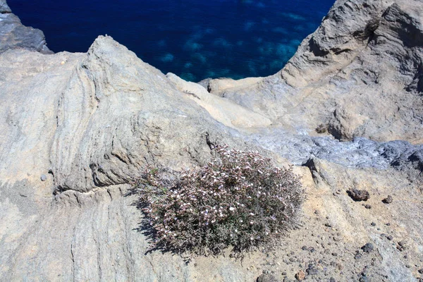 Pohled Pobřeží Pantelleria Slavný Ostrov Sicílii — Stock fotografie