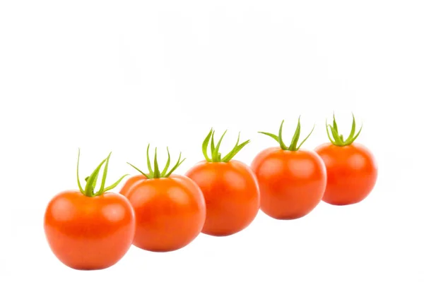 Varios Tomates Una Fila Inclinada — Foto de Stock