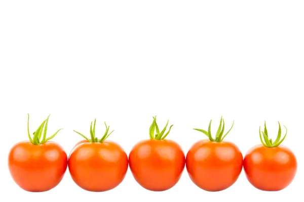 Verschillende Tomaten Een Rij Aan Onderkant — Stockfoto