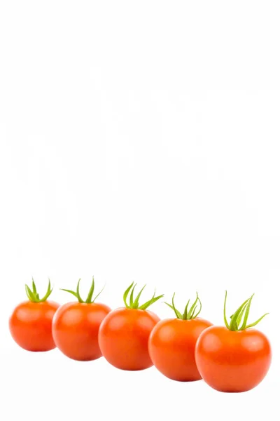 Vários Tomate Uma Fileira Inclinada — Fotografia de Stock