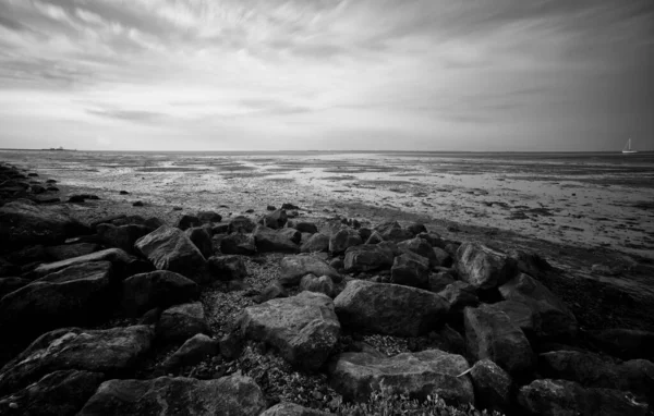 Wybrzeżu Schiermonnikoog — Zdjęcie stockowe