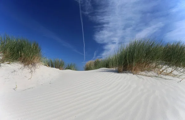 Panoramisch Uitzicht Duinen Selectieve Focus — Stockfoto