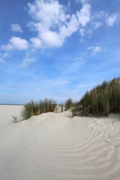 Spiaggia Scena Acqua Naturale — Foto Stock