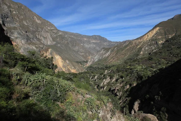 Cañón Del Colca Perú — Foto de Stock