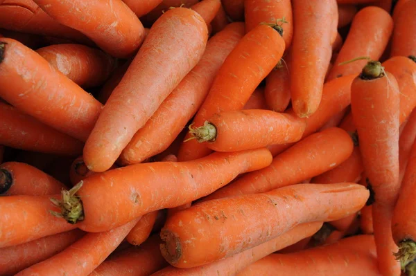 Spain Weekmark Carrot Carrot — Stock Photo, Image
