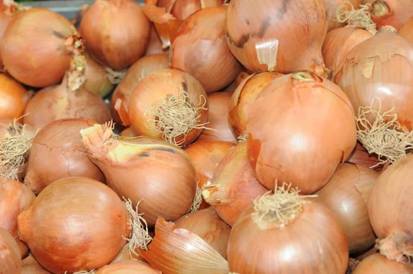 Cebolas Frescas Mercado — Fotografia de Stock