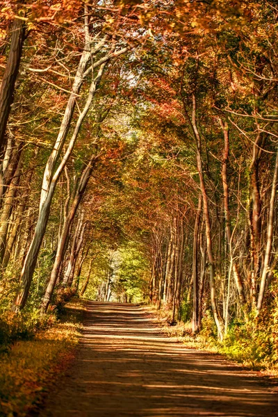 Vacker Utsikt Över Naturen — Stockfoto