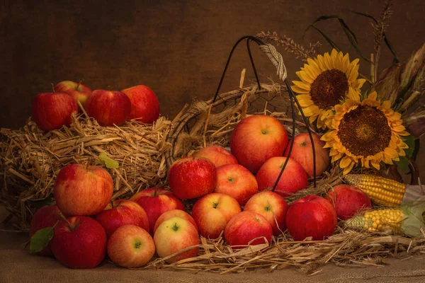 Herfstsfeer Selectieve Focus — Stockfoto