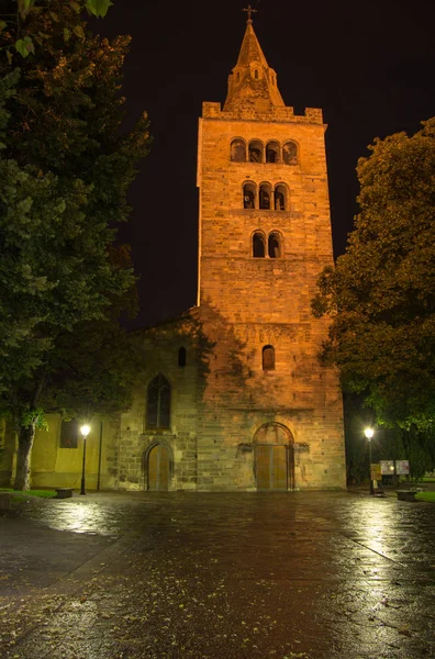 Sviçre Valais Sion Night View — Stok fotoğraf