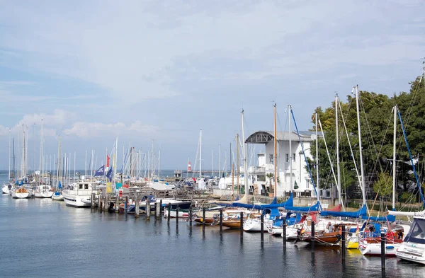 Dauphins Dans Canal Kiel — Photo