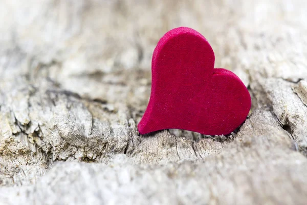 Червоне Серце Дерев Яному Фоні — стокове фото