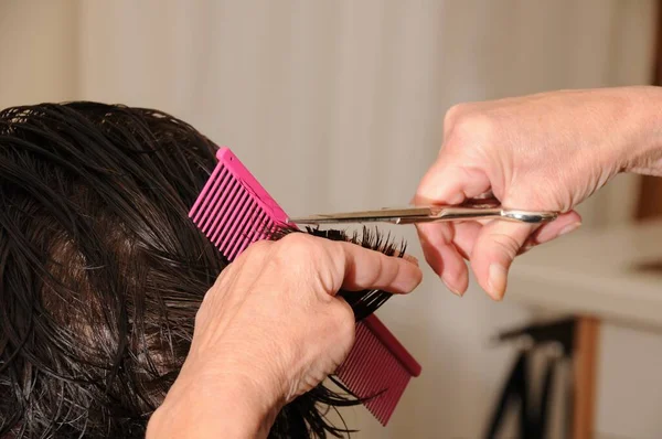 Cabeleireiro Corte Cabelo Corte Cabelo Uma Mulher Com Tesoura — Fotografia de Stock