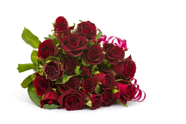 Red Roses White Background Stock Image
