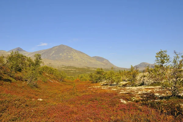 Rondane Nemzeti Park Ősszel Norvégia — Stock Fotó