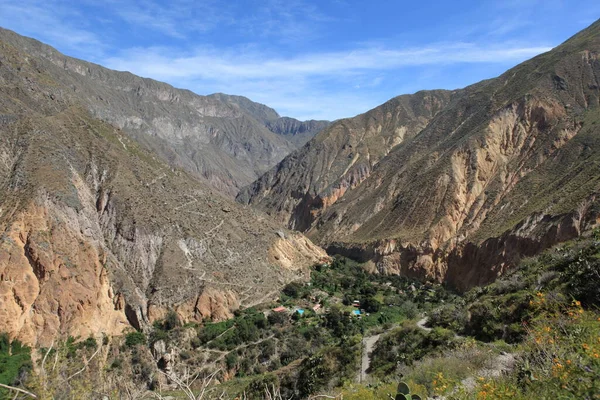 Canyon Del Colca Perù — Foto Stock