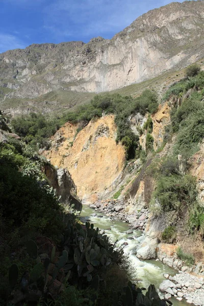 Colca Canyon Peru — Stok fotoğraf