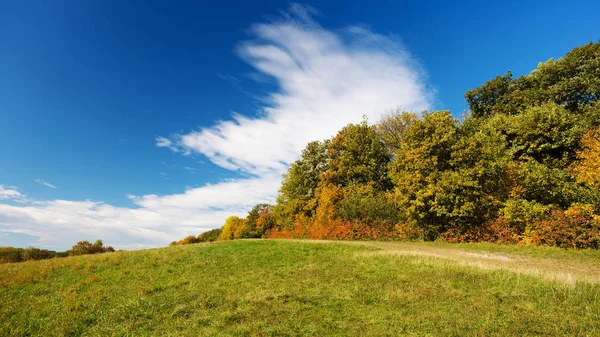 Paisagem Outono Prado Com Floresta Tempo Bonito — Fotografia de Stock