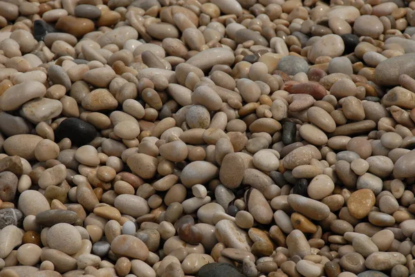 Kövezetek Strandon Szürke Sziklák — Stock Fotó