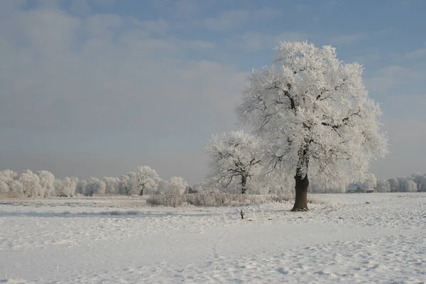 Pittoresca Vista Sul Paesaggio Invernale Innevato — Foto Stock