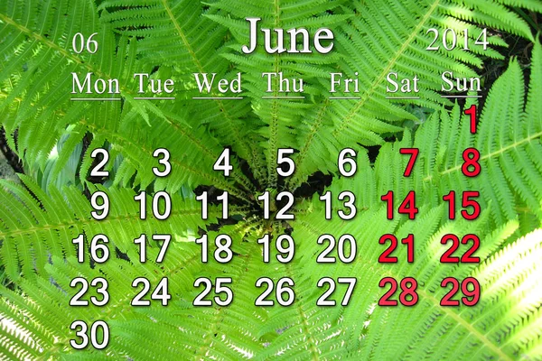 Kalender För Juli 2014 Bakgrunden Grön Ormbunke — Stockfoto