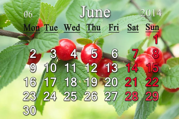 关于红莓背景的2014年6月日历 — 图库照片