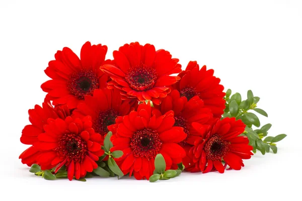 Schöne Gerbera Blumen Auf Dem Hintergrund — Stockfoto