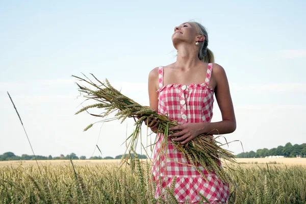 Mladá Blondýnka Kostkovaných Letních Šatech Stojí Kukuřičném Poli Náručí Drží — Stock fotografie