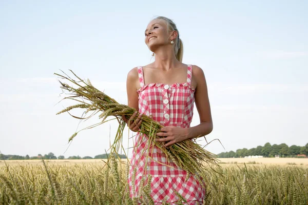 여름옷을 금발의 옥수수 다발의 곡식을 — 스톡 사진
