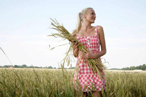 Mladá Blondýnka Kostkovaných Letních Šatech Stojí Kukuřičném Poli Náručí Drží — Stock fotografie