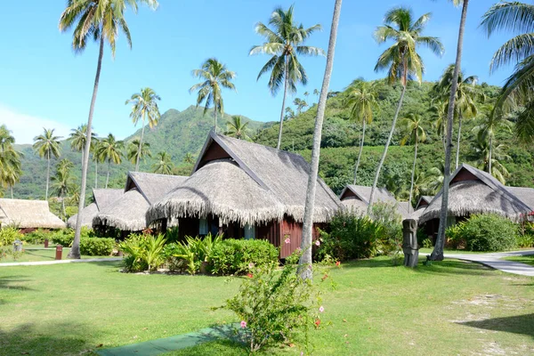 Tropisch Strand Met Palmbomen Blauwe Lucht — Stockfoto