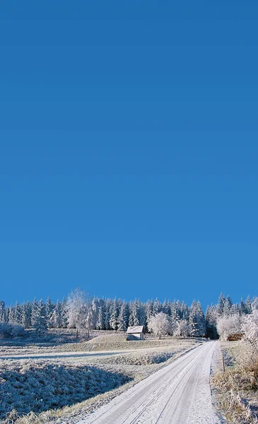 Hoarfrost Sunny Winter Day Hoarfrost Sunny Winterday — Stock Photo, Image