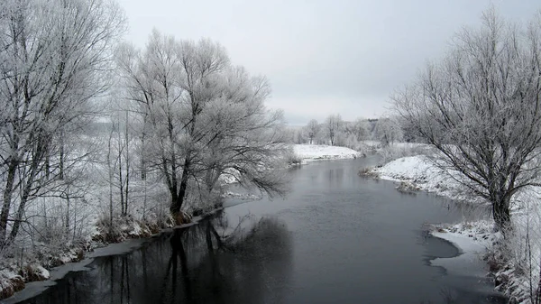 Beautiful Landscape Winter Ubed River Forest — Stock Photo, Image