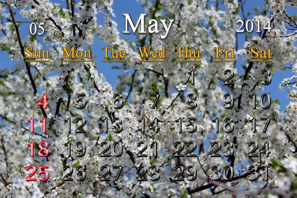 Календарь Май 2014 Года Фоне Летающего Шмеля — стоковое фото