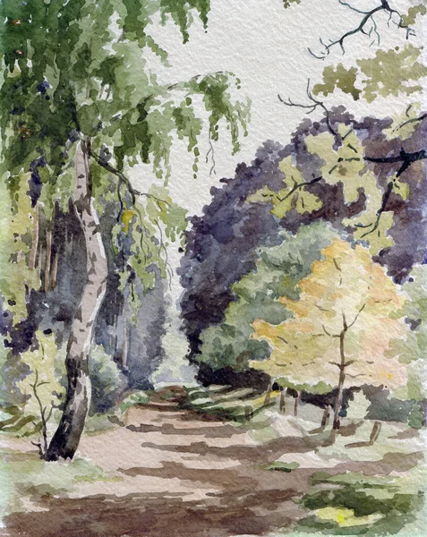 Birke Waldweg Aquarell — Stockfoto