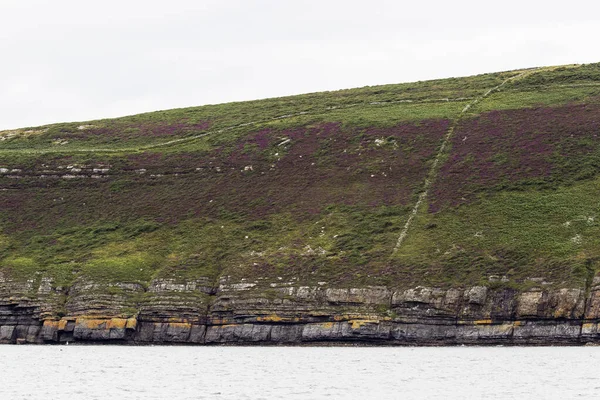 Paisaje Costero Cruce Del Río Shannon Océano Atlántico Clare Del —  Fotos de Stock