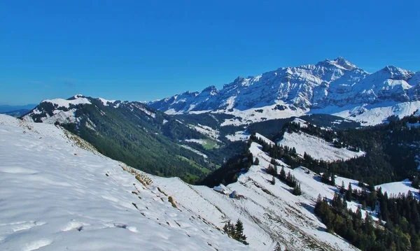 Nebelhorn Dan Allgu Avusturya Alpleri Nin Yüksek Komşu Dağlarına Bakın — Stok fotoğraf