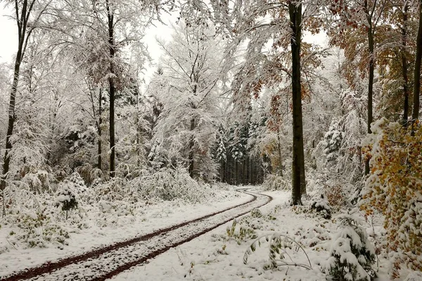 Primera Nieve Borde Los Alpes —  Fotos de Stock