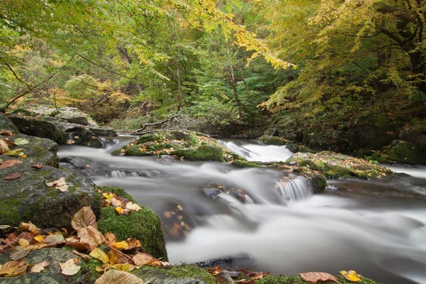 Harzer Hexenstieg Bodetal Autumn — 스톡 사진