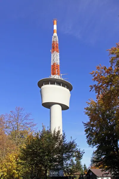 Heidelberg Een Plaats Duitse Deelstaat Rijnland Palts Gelegen Neckar — Stockfoto