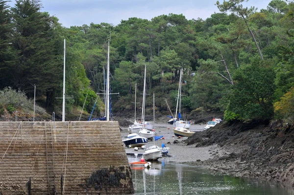 Harbor Low Tide — Stock Photo, Image